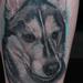 Tattoos - Husky Portrait - 93797